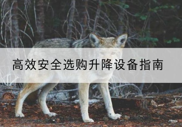 饶平升降货梯厂家推荐-*安全选购升降设备指南