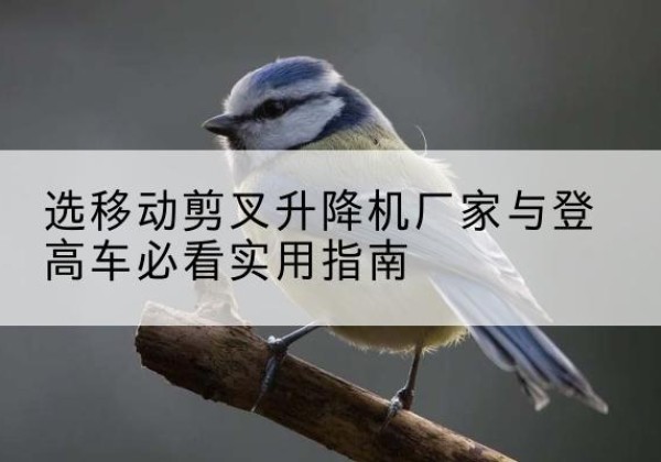 饶平电动升降机厂家-选移动剪叉升降机厂家与登高车必看实用指南