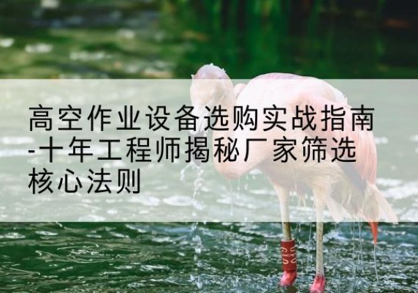饶平剪叉式升降机厂家-高空作业设备选购实战指南-十年工程师揭秘厂家筛选核心法则