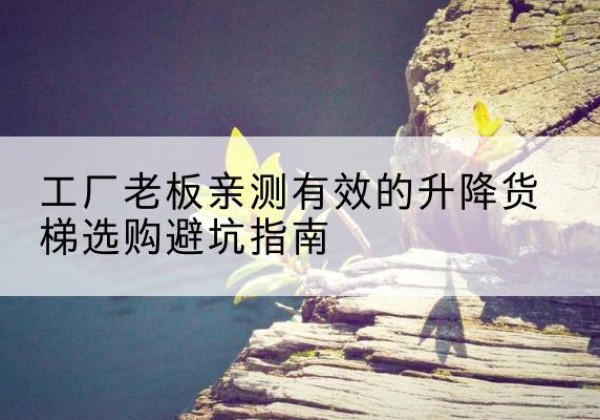 饶平升降货梯怎么选-工厂老板亲测有效的升降货梯选购避坑指南